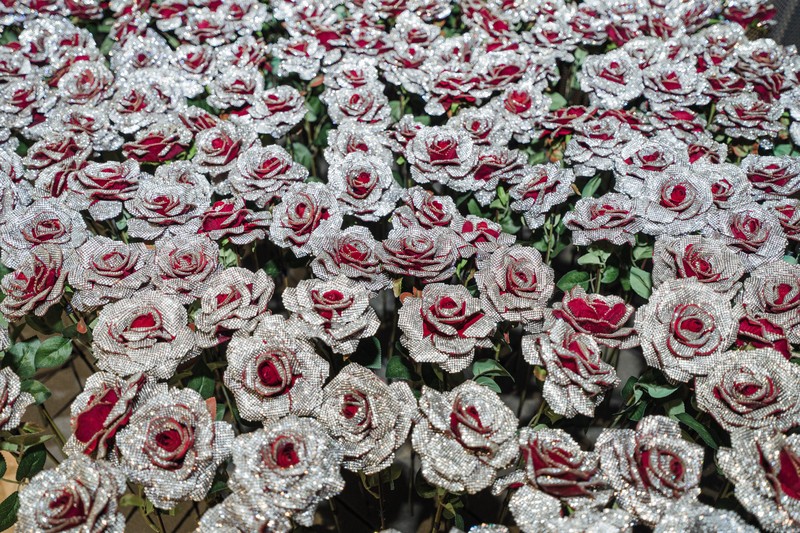 DSC07684 [最大宽度 2400 最大高度 1800].jpg