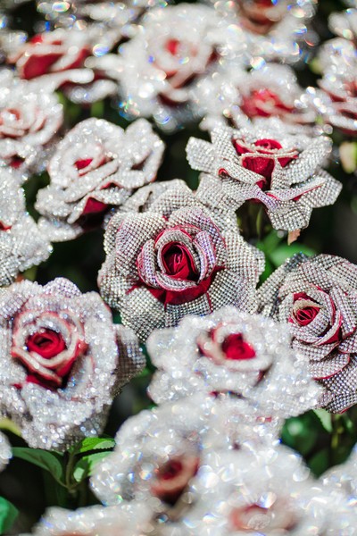 DSC05888 [最大宽度 2400 最大高度 1800].jpg