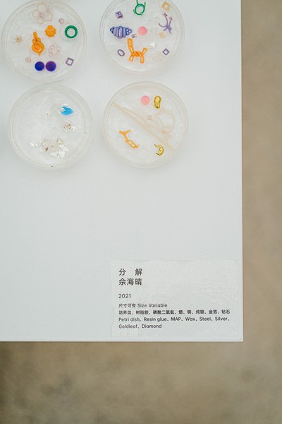 DSC05880 [最大宽度 2400 最大高度 1800].jpg