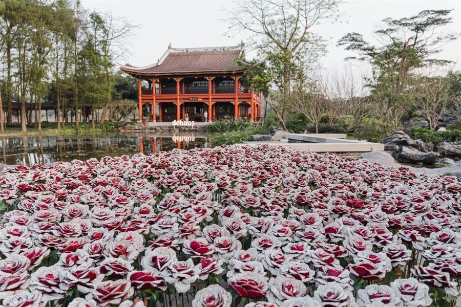 钻石玫瑰（顺峰山公园）