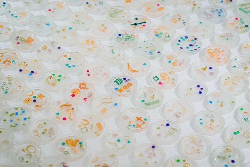 DSC05885 [最大宽度 2400 最大高度 1800].jpg